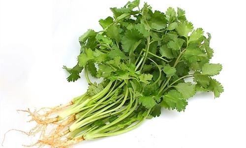 麻疹|爱食香菜的注意，香菜好处多，医生说别跟它同食，现在知道不晚