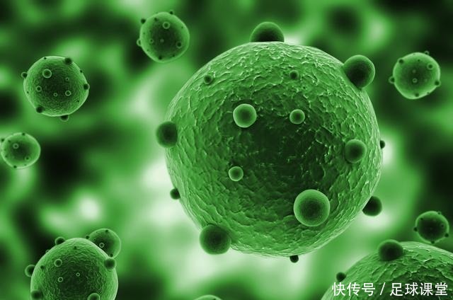 阴谋论|他是七百年前的零号病人,阴谋论在历史上从未缺席