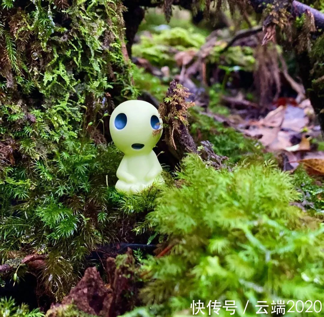 吉卜力|名美美术教育:请问有无吉卜力动画迷?点进来看看!