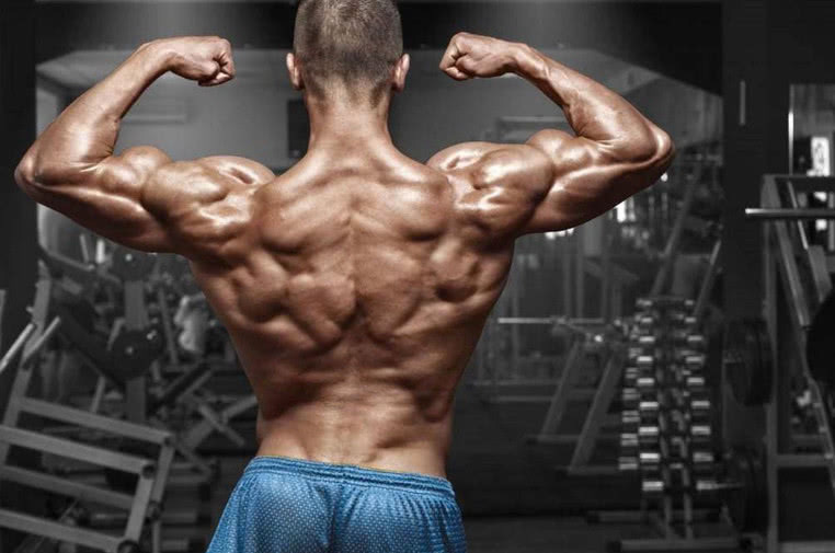 健美运动员|为什么付出汗水练出来的肌肉，却比不上一些动物每天吃睡来得快