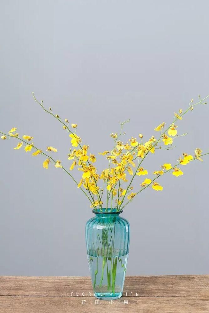 10款春节必备花材清单，去花店就买这些花！