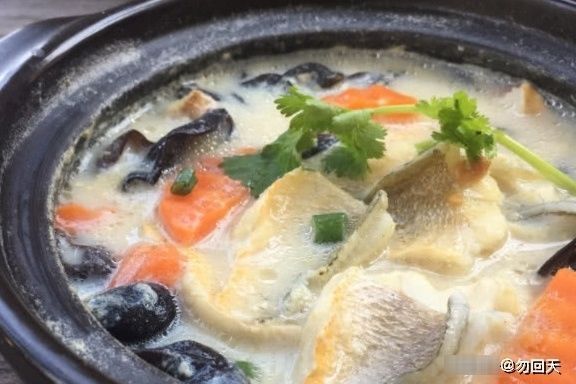 动物蛋白|孕妈在孕期要注意,4种营养要及时补充,对孩子的发育有好处