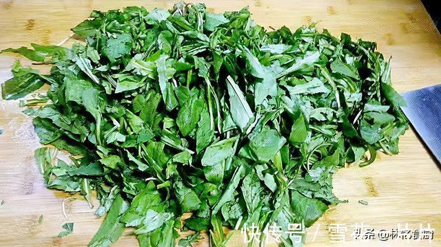 夏季|蒲公英可以直接晒干泡茶吗？弄清楚才能喝得放心，夏季消暑必备