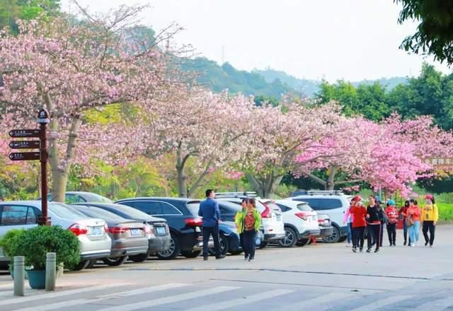 迎接|2021年元旦，期待东莞观音山迎接新年第一缕阳光