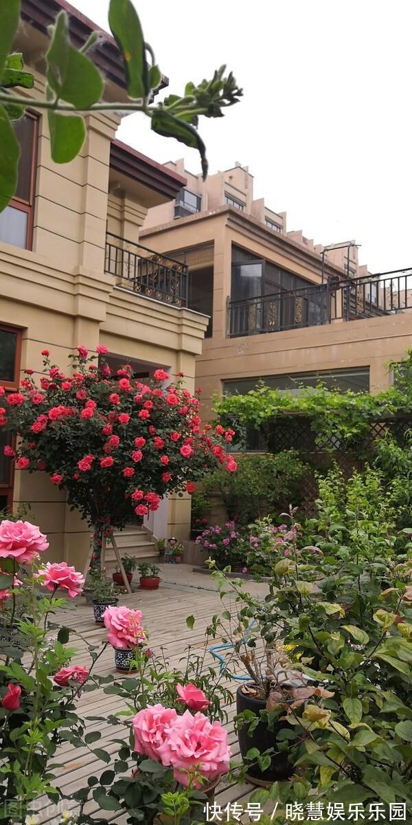 刘叔|为了养花卖掉老房子,在郊区买套别墅,住两年多,后悔了