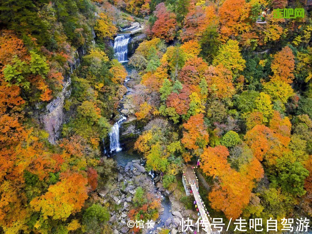 茂县|又是一年红叶季！四川最美红叶观赏地图，看这一份就够了