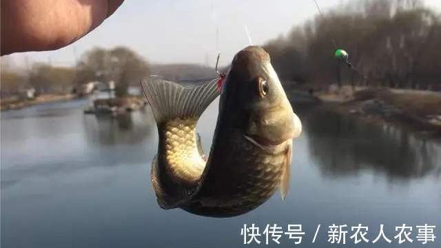 江苏一大爷钓鱼上瘾，严寒中从凌晨守到下午，老伴的做法令人感动