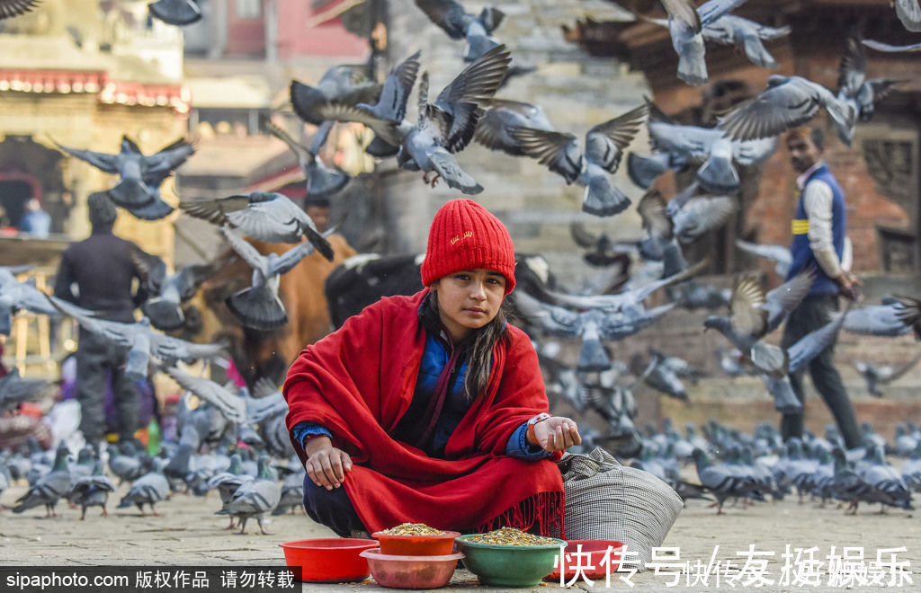 加德满都|尼泊尔加德满都：马拉王朝的古建筑与鸽群