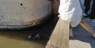 |搞笑GIF:姑娘 是时候找个男朋友了