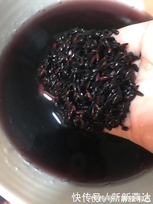 枸杞子|天冷了,早餐记得多喝它,简单煮一煮,气血双补,身体暖和和!