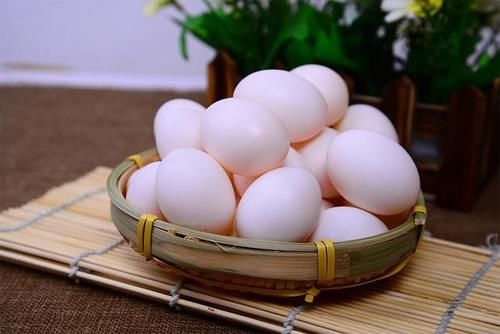 鸽子蛋|鸡蛋、鸭蛋、鹅蛋、鹌鹑蛋，哪种更有营养？医生：3种蛋尽量少吃