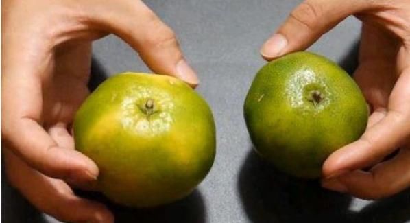 经验|橘子大量上市!教你2招挑“母橘子”,每次买到最甜的橘子!