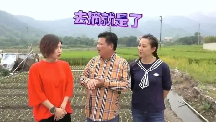 正当|美食｜农家食材正当造，“舅父新”巧手做美食滋味好