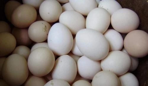 龙眼|产妇坐月子期间,4种食物要舍得吃,或能促进身体恢复