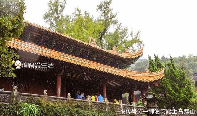 九龙藻井|普陀山三大寺之一，镇寺之宝来自南京明故宫，寺名来自康熙御赐！