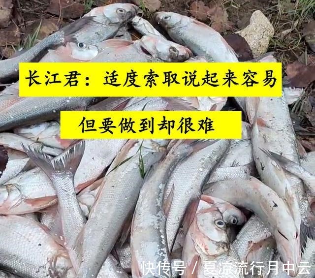 泥鳅钓法浙江钓友半天钓几十条大翘嘴鱼,网友你吃得完吗!