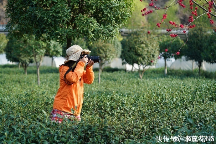 相约安康春来早 石泉十美春正好 秦巴水乡美如画