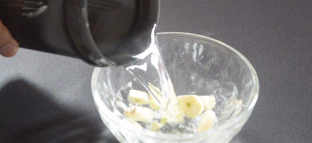 花盆里放瓣大蒜, 没想到作用这么大, 看完你会感谢我的