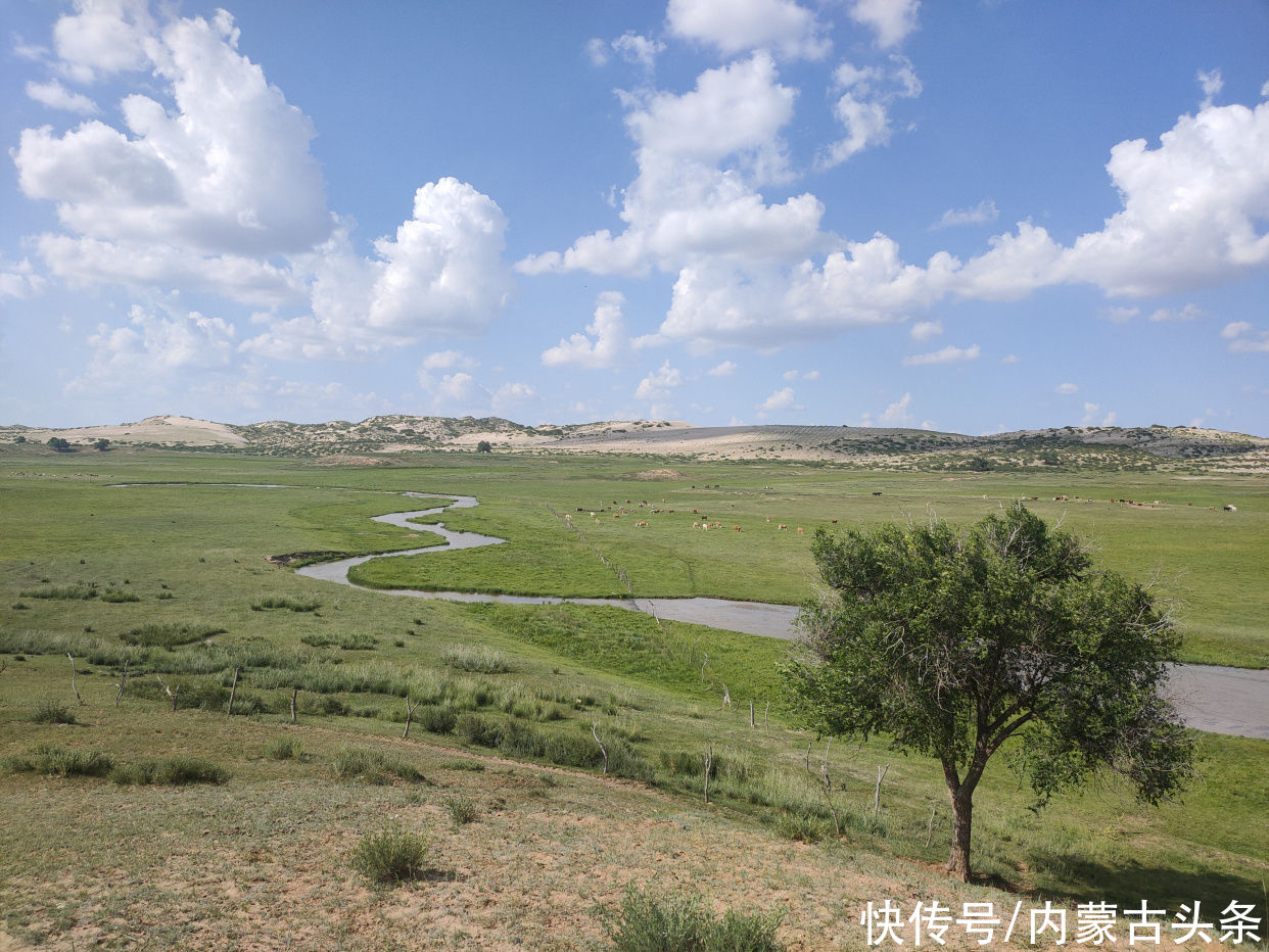 浑善达克沙地|乘着越野车，打马过草原追日出、赶日落