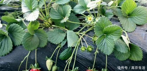 长寿|谁说长寿没有“征兆”60岁以后还能做这4件事情,多半会长寿