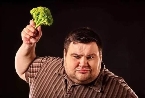 鹅肉|鹅肉、鸡肉和鸭肉哪个营养更高?哪些人不宜吃鹅肉?看完心中有数