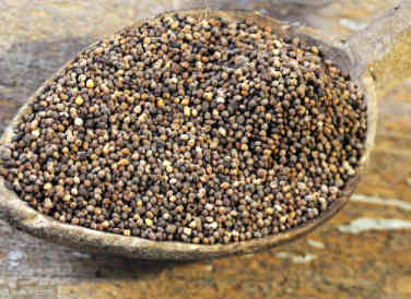 中医|中医称“它”功效胜过6味地黄丸，男人常吃补肾益精、养肝明目