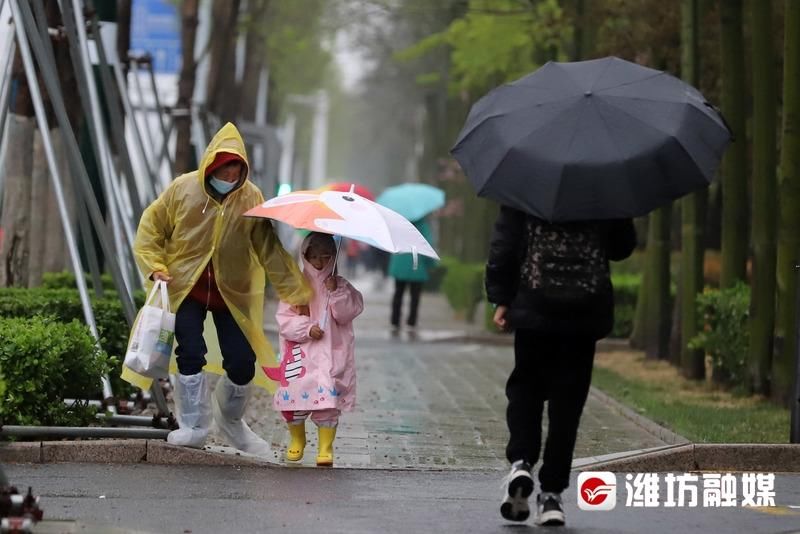 春雨来袭，润物细无声~