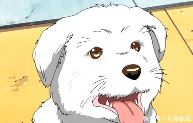 大美女|《蜡笔小新》一家的真实面貌曝光,原来美伢是超级大美女