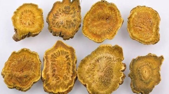 汇总|每天学一味中药汇总高血压、糖尿病、心脏病,中医都有什么药