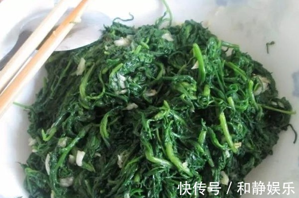 苋菜|天热，这3种野菜要多吃，比买的营养高，清肠消暑还补钙！