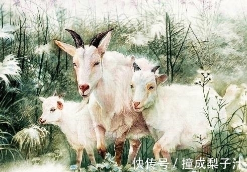 生肖狗|家宅里哪4个生肖的人多，牛年一旺就是一家，福气叠加更红火