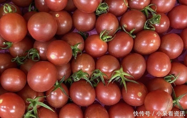 圣女果|辣椒最怕的4种解药，不是矿泉水，而是普通的它，别傻傻不明白