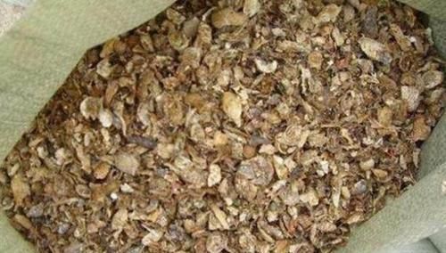 花都|学会制作这些“氮、磷、钾肥”,养啥花都长得又快又好