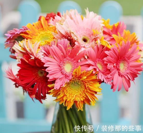 婚礼现场需要花草点缀,6种寓意好唯美的花,送给你