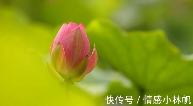 明兰&情商低的人,开口闭口不离这三句话,遭人嫌弃