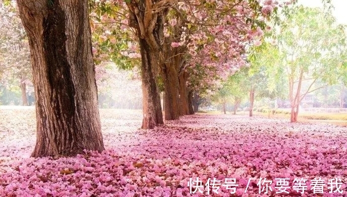 曲中论!诗圣杜甫10首最经典的诗排行,《春望》仅第2,榜首是哪首名作?