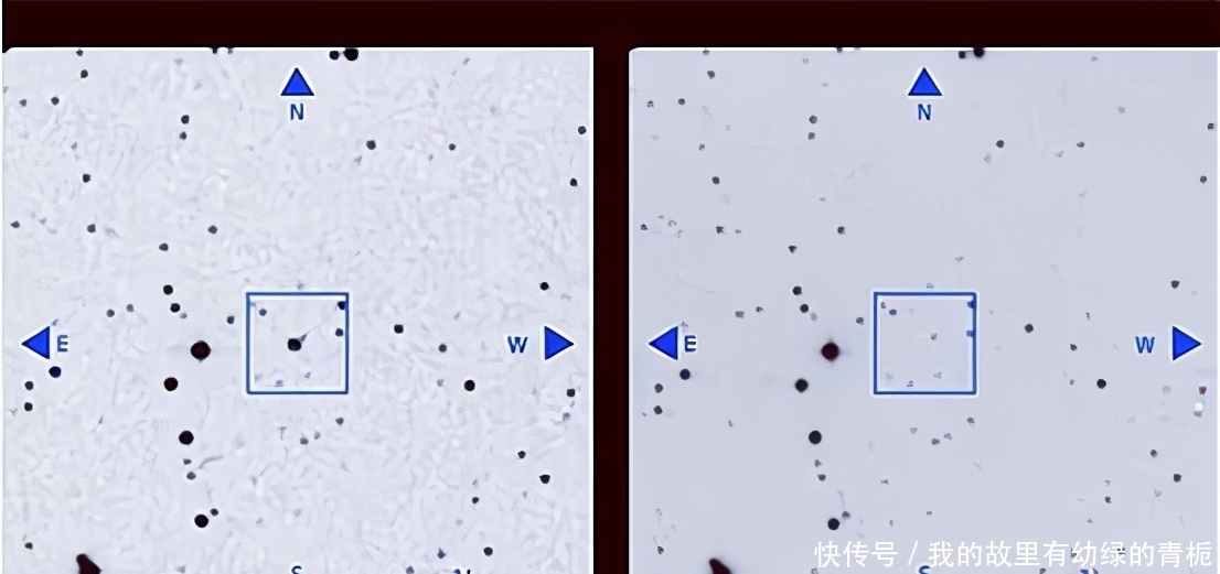 神秘失踪 外星文明在吸收恒星？研究发现，神秘失踪的恒星已增至800多颗