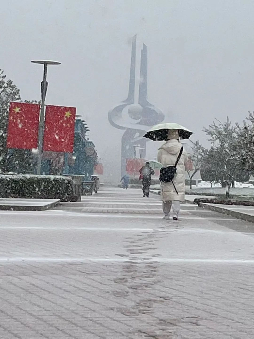 停运|如约而至！山东今冬第一场雪发货了！