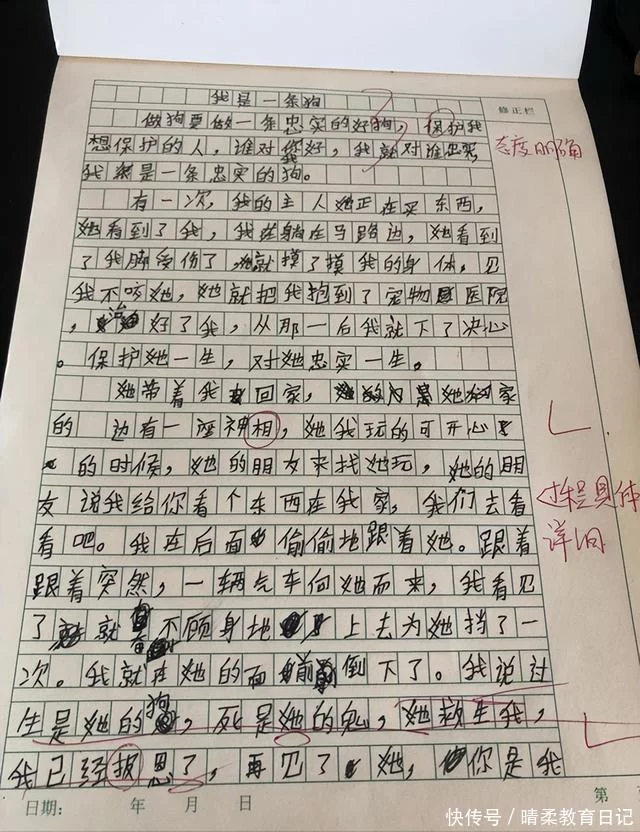 满满干货（关于感动的作文）令我感动的一件事作文450字 第6张