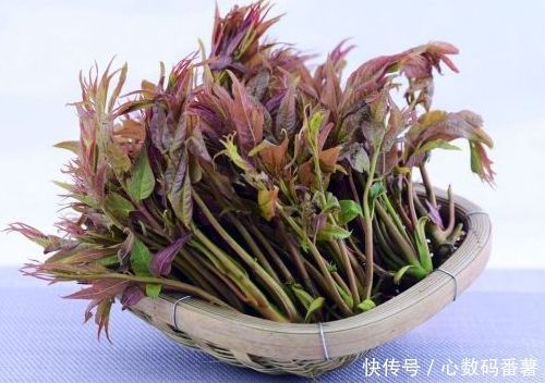  营养|很有营养的3种食物，美容养生、延缓衰老，提高免疫力！