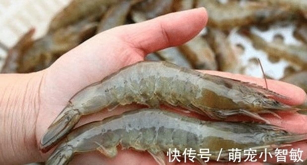 煮虾，不管是活虾还是冻虾，下锅前牢记3点，虾肉才会鲜嫩无腥味！