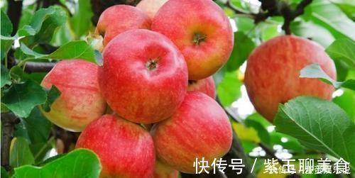 葡萄|孕期多吃葡萄,宝宝的眼睛会又大又亮吗?哪几种水果多吃宝宝发育好,孕妈不发胖?