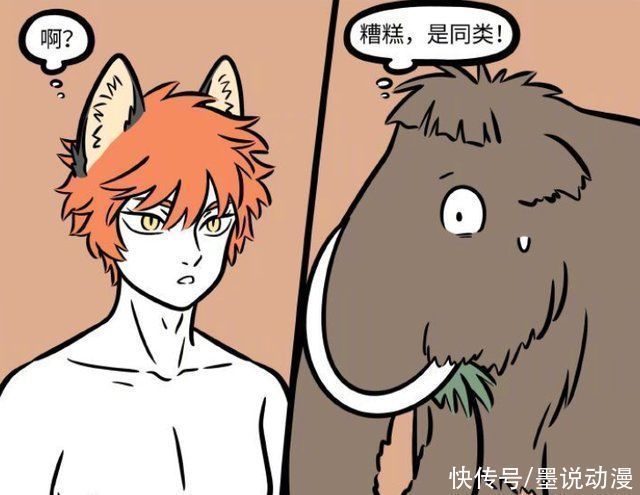 九月|非人哉九月被赤狐嘲笑,两人化身为霸王龙