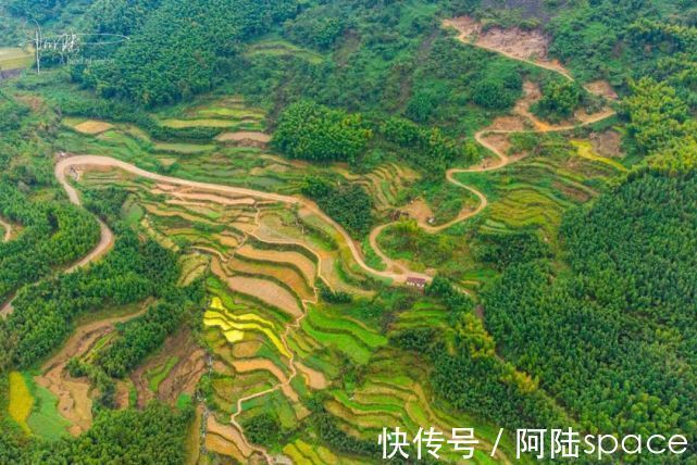 小村|这个杭州的山间小村，有竹海和梯田，美得像油画一样