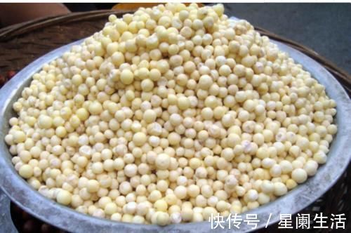 祛湿|三好中药材——芡实,祛湿很好、补肾挺好、性价比高