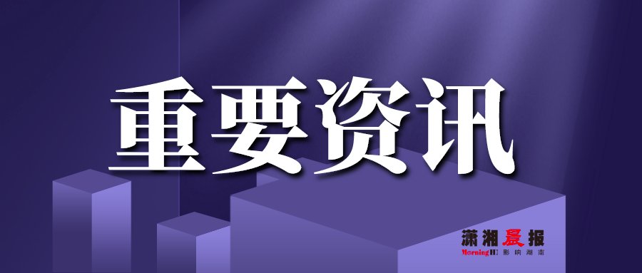 搜索|双十一的选择烦恼：给女朋友送什么？给狗买什么？螺狮粉、榴莲、臭豆腐，怎么选？