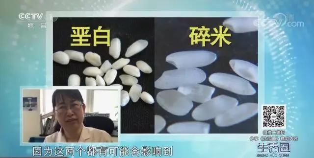  汤泡饭|到底该吃米还是吃面？