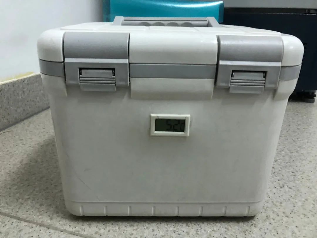 卵泡|把卵巢冻起来