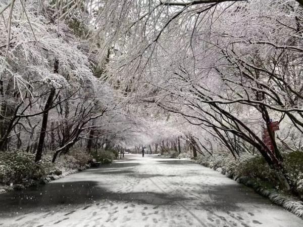 浙江分社|开工第一天杭州这场雪，东北人都说“服气”！