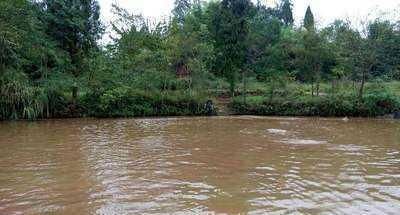 野钓|钓鲫鱼涨水和落水时选择钓点，依据下面2点就行了